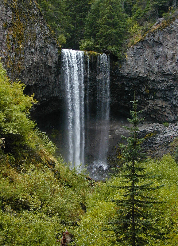 Tamanawas Falls [Tamanawas Falls Trail, Mt. Hood National Forest, Hood River County, Oregon]