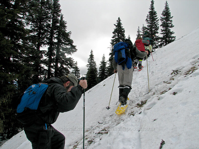 snowshoers [Ghost Ridge, Mt. Hood National Forest, Clackamas County, Oregon]