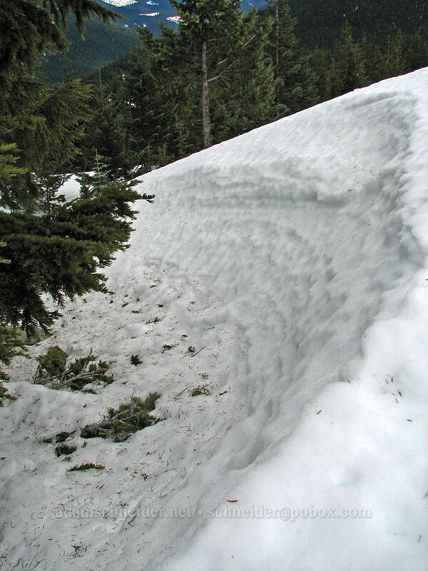 edge of a tree well [Ghost Ridge, Mt. Hood National Forest, Clackamas County, Oregon]