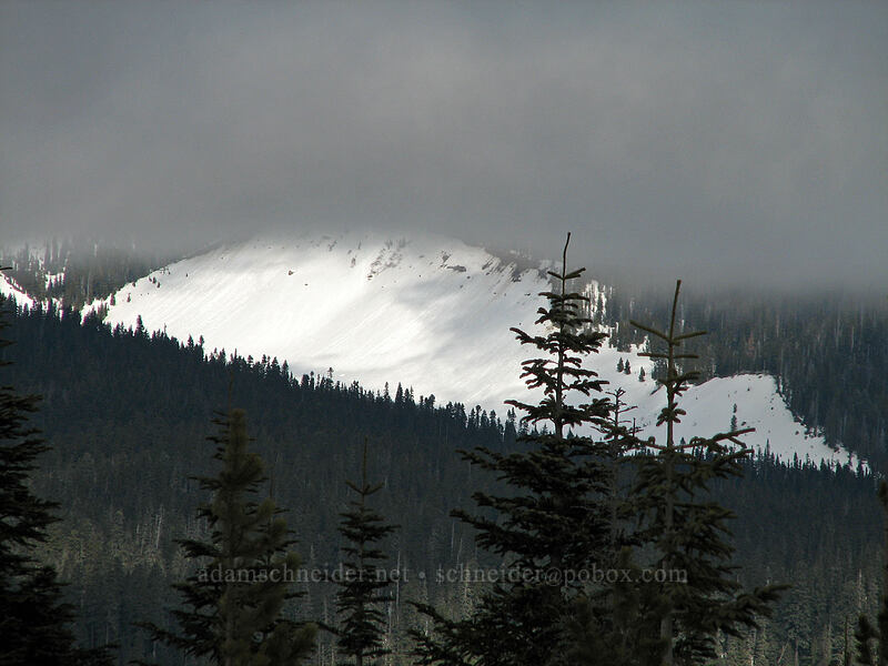 White River Canyon [Ghost Ridge, Mt. Hood National Forest, Clackamas County, Oregon]
