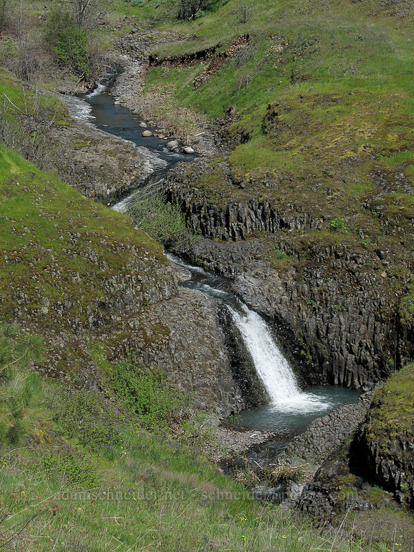 waterfall on Catherine Creek [Catherine Creek, Columbia River Gorge, Klickitat County, Washington]