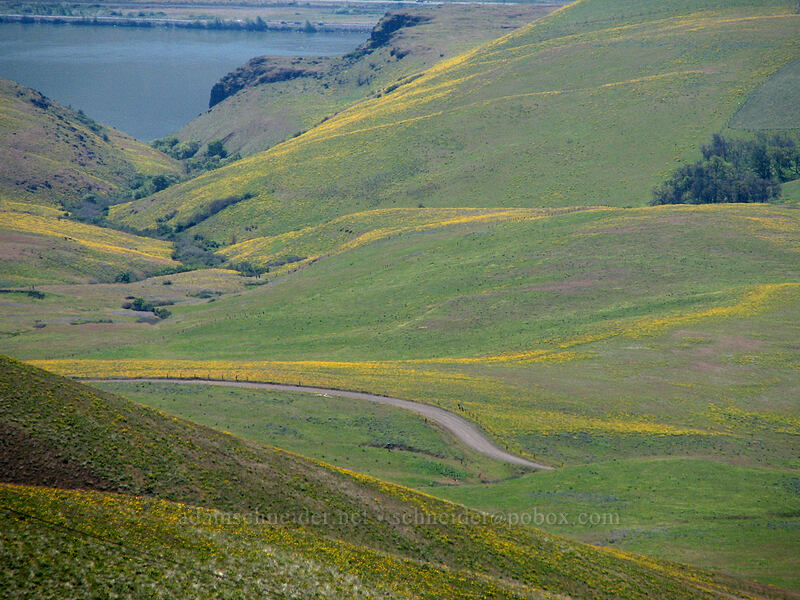 Columbia Hills & the Columbia River [Columbia Hills Natural Area Preserve, Klickitat County, Washington]