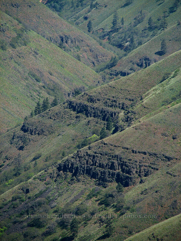 Swale Canyon [Stacker Butte, Klickitat County, Washington]