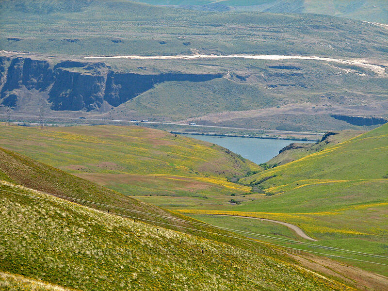 view across the Columbia River [Columbia Hills Natural Area Preserve, Klickitat County, Washington]
