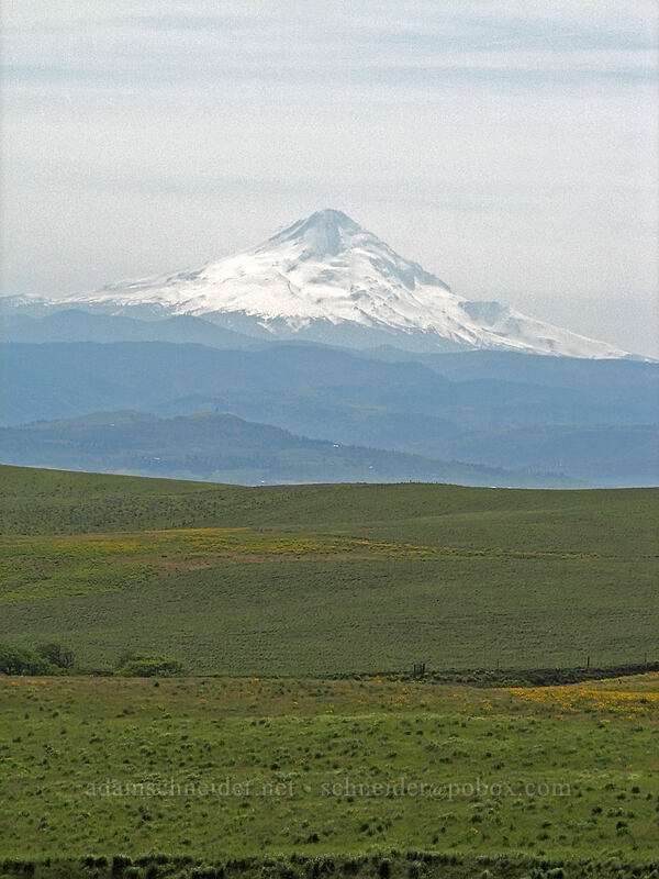 Mount Hood [Dalles Mountain Road, Klickitat County, Washington]