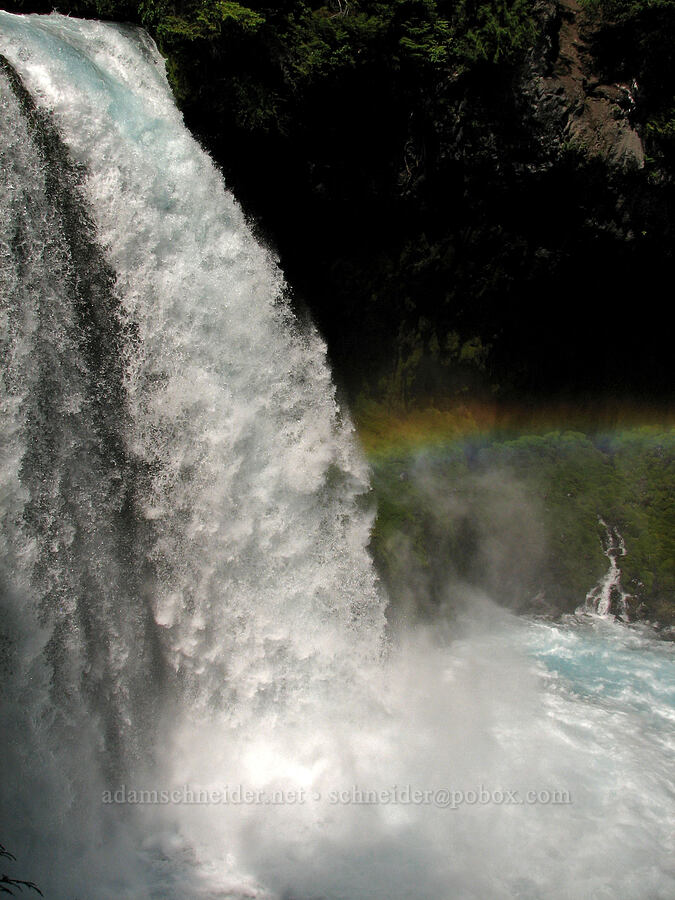 Koosah Falls [McKenzie River Trail, Willamette National Forest, Linn County, Oregon]