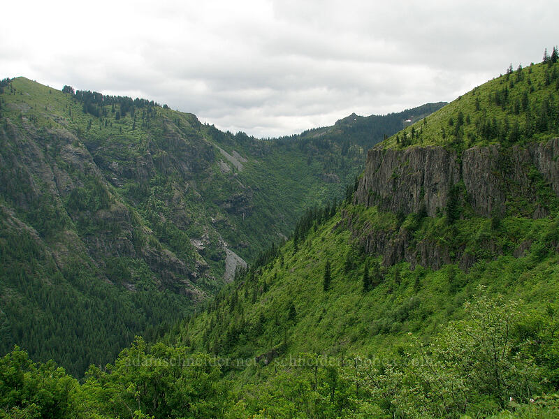 Star Creek Valley [Silver Star Mountain Trail, Gifford Pinchot National Forest, Skamania County, Washington]