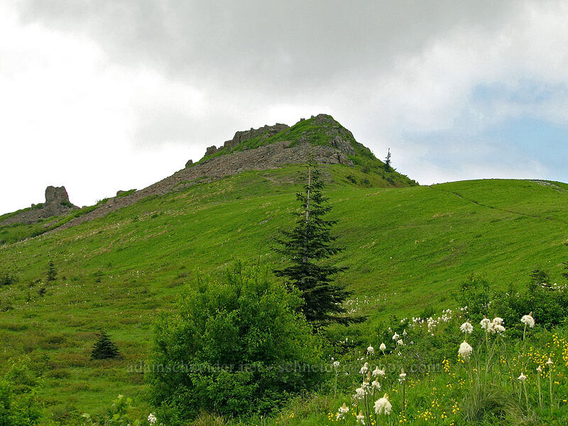 northern ridge of Silver Star Mountain [Ed's Trail, Silver Star Mountain, Gifford Pinchot National Forest, Skamania County, Washington]