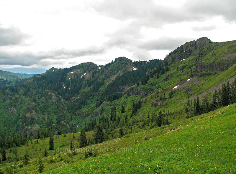 Silver Star Mountain & the head of Star Creek Valley [Ed's Trail, Silver Star Mountain, Gifford Pinchot National Forest, Skamania County, Washington]