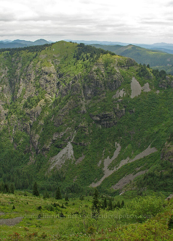 east wall of Star Creek Valley [Ed's Trail, Silver Star Mountain, Gifford Pinchot National Forest, Skamania County, Washington]