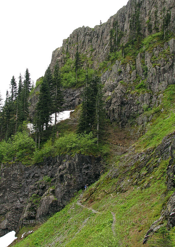 snow patches on the west side of the ridge [Ed's Trail, Silver Star Mountain, Gifford Pinchot National Forest, Skamania County, Washington]