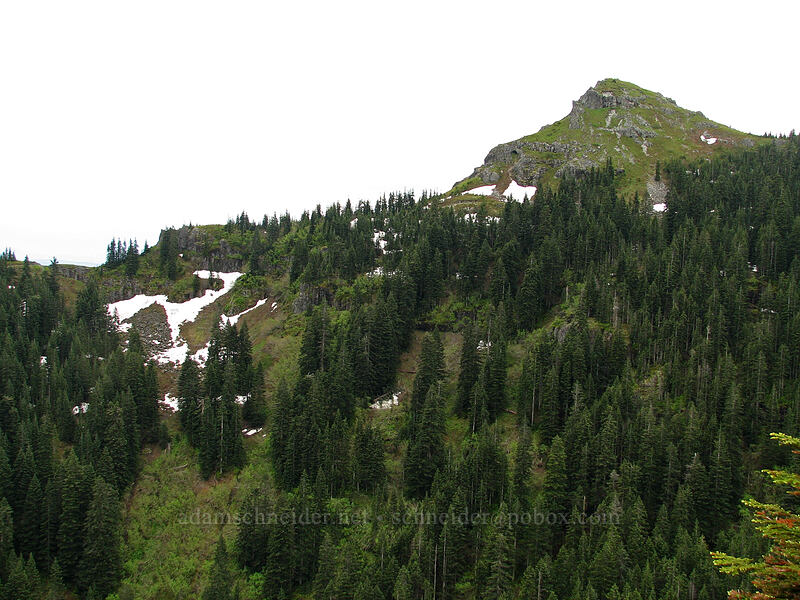 top of Silver Star [Ed's Trail, Silver Star Mountain, Gifford Pinchot National Forest, Skamania County, Washington]