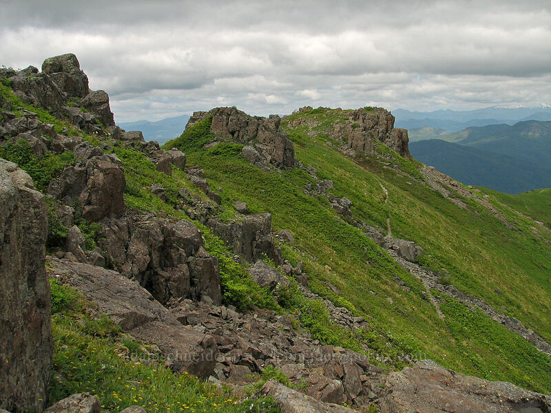 west side of the northern ridge [Silver Star Mountain Trail, Gifford Pinchot National Forest, Skamania County, Washington]