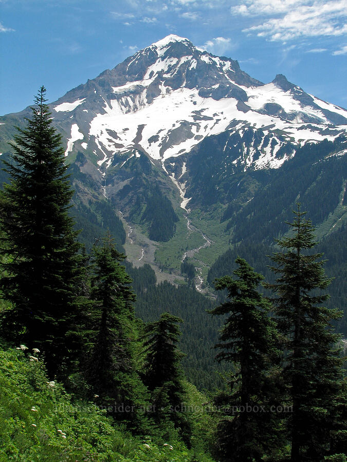 Mount Hood [Bald Mountain, Mt. Hood Wilderness, Clackamas County, Oregon]