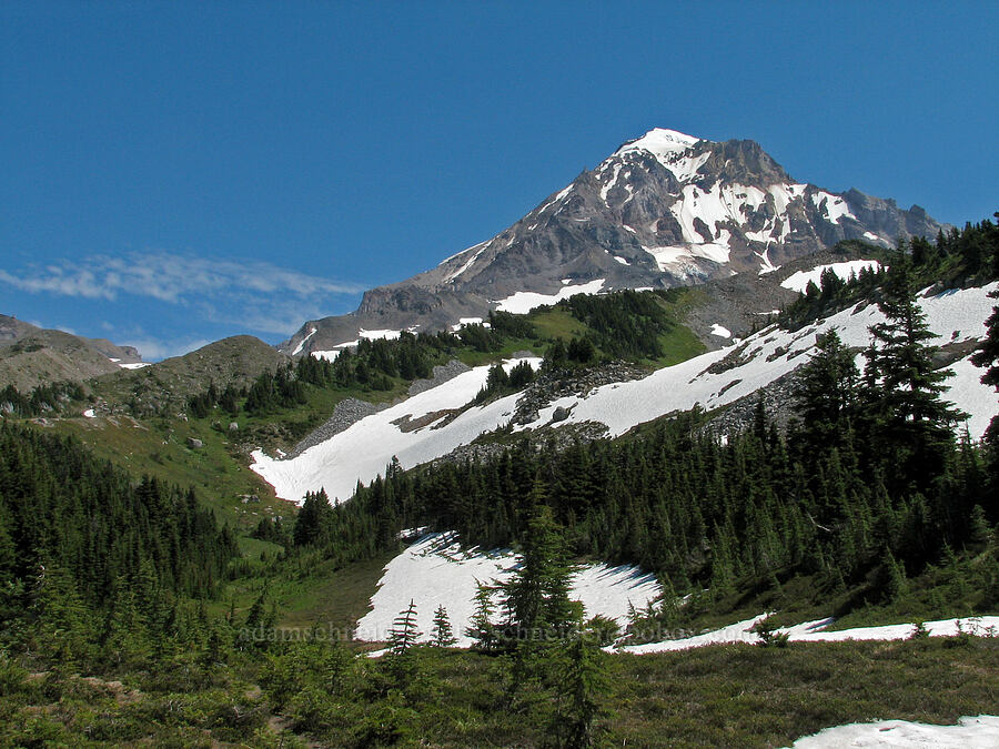 Mount Hood [Timberline Trail, Mt. Hood Wilderness, Hood River County, Oregon]