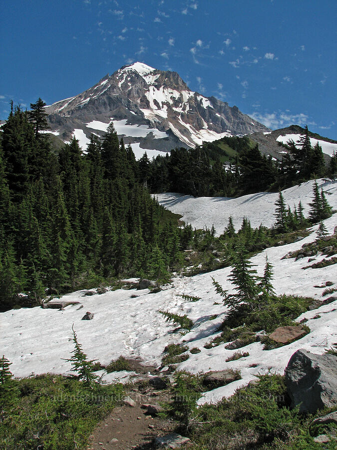 snowy meadows [Timberline-McNeil Trail Junction, Mt. Hood Wilderness, Hood River County, Oregon]