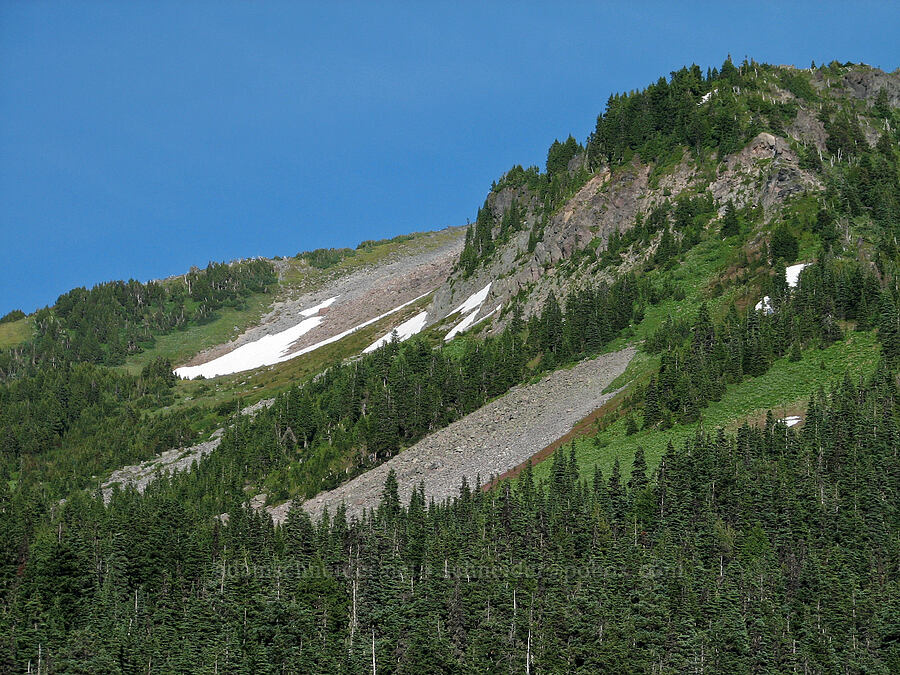 McNeil Point [Bald Mountain Ridge, Mt. Hood Wilderness, Hood River County, Oregon]