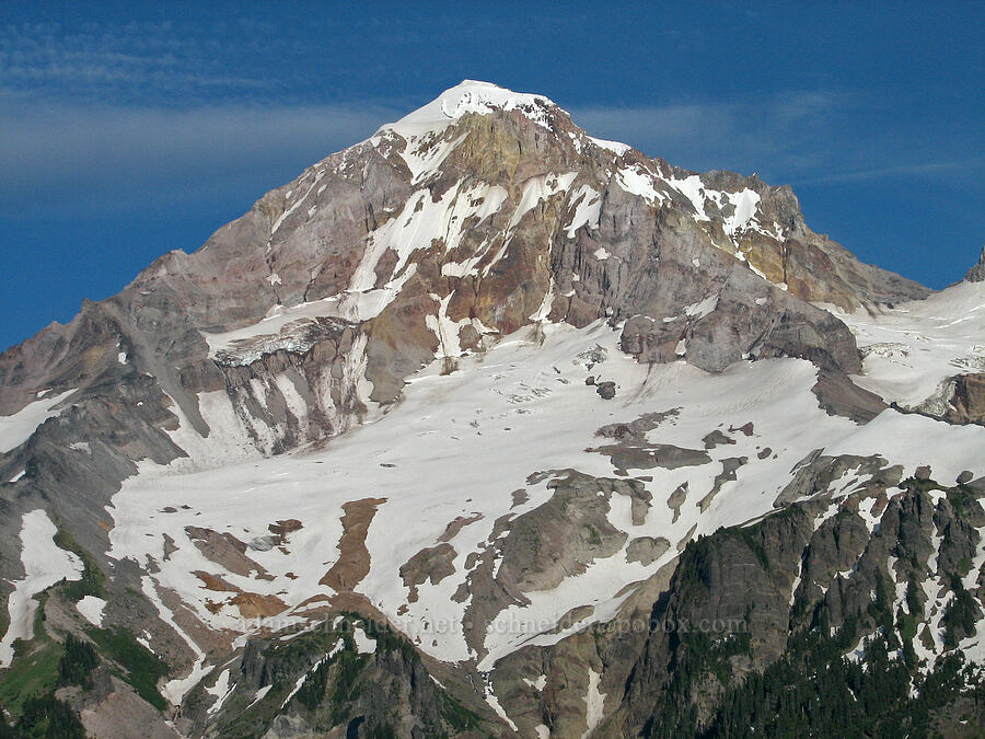 Mount Hood [Bald Mountain, Mt. Hood Wilderness, Clackamas County, Oregon]