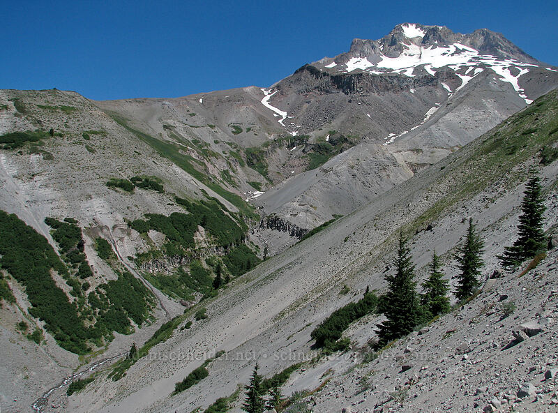 Zigzag Canyon & Mount Hood [East rim of Zigzag Canyon, Mt. Hood Wilderness, Clackamas County, Oregon]