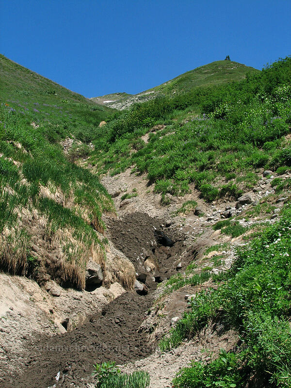 green hills & muddy snow [Paradise Park Loop Trail, Mt. Hood Wilderness, Clackamas County, Oregon]