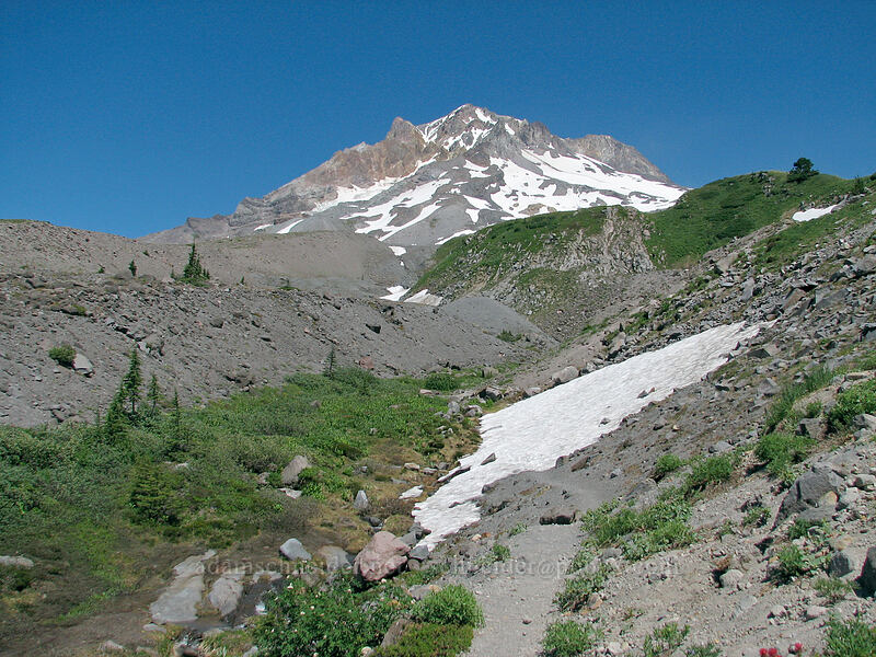 Mount Hood [Paradise Park, Mt. Hood Wilderness, Clackamas County, Oregon]