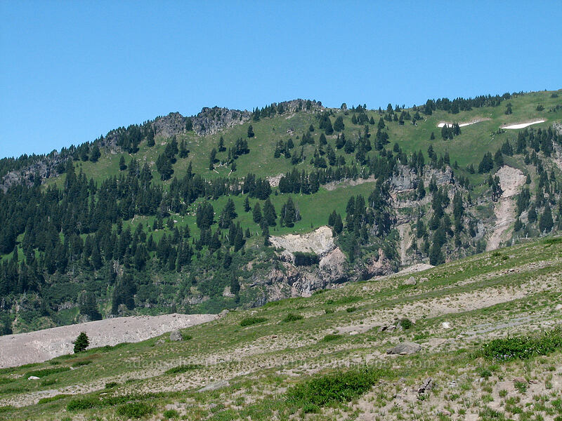 south side of Yocum Ridge [Paradise Park, Mt. Hood Wilderness, Clackamas County, Oregon]