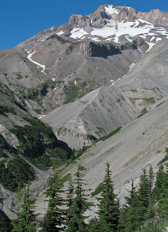 top of Zigzag Canyon [East rim of Zigzag Canyon, Mt. Hood Wilderness, Clackamas County, Oregon]