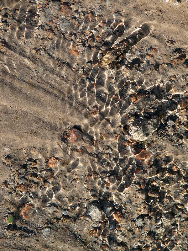 ripples on the trail [Northwest of Timberline Lodge, Mt. Hood National Forest, Clackamas County, Oregon]