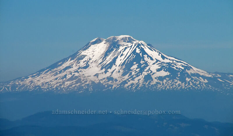 Mount Adams [Pinnacle Ridge Trail, Mt. Hood Wilderness, Hood River County, Oregon]