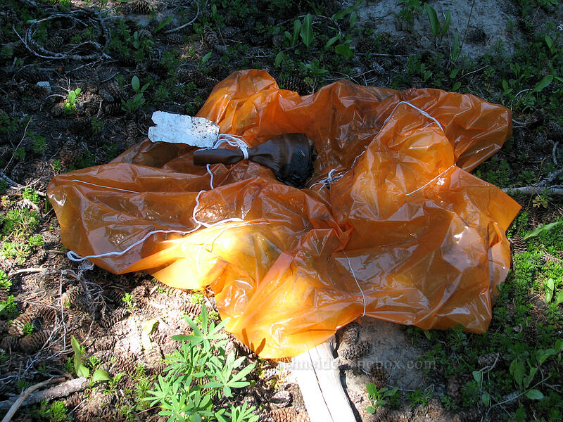 weather balloon (?) [Pinnacle Ridge Trail, Mt. Hood Wilderness, Hood River County, Oregon]