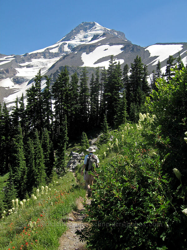 Adam on the trail [Above Elk Cove, Mt. Hood Wilderness, Hood River County, Oregon]