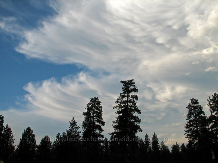 storm clouds [Highway 242, Sisters, Deschutes County, Oregon]