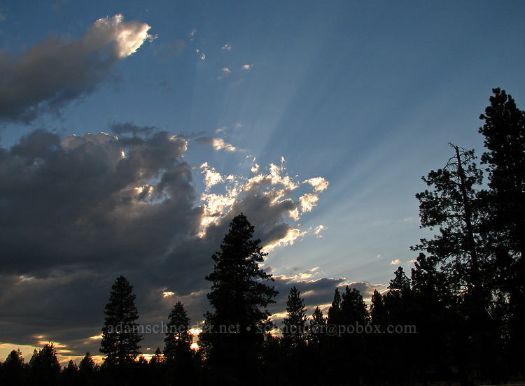 sunset [Highway 242, Sisters, Deschutes County, Oregon]