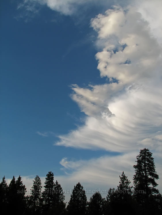 storm clouds [Highway 242, Sisters, Deschutes County, Oregon]