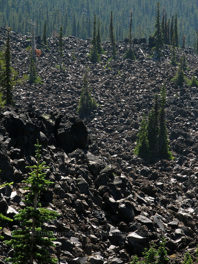 A.G. Aiken Lava Bed [Round-the-Mountain Trail, Mt. Adams Wilderness, Yakima County, Washington]