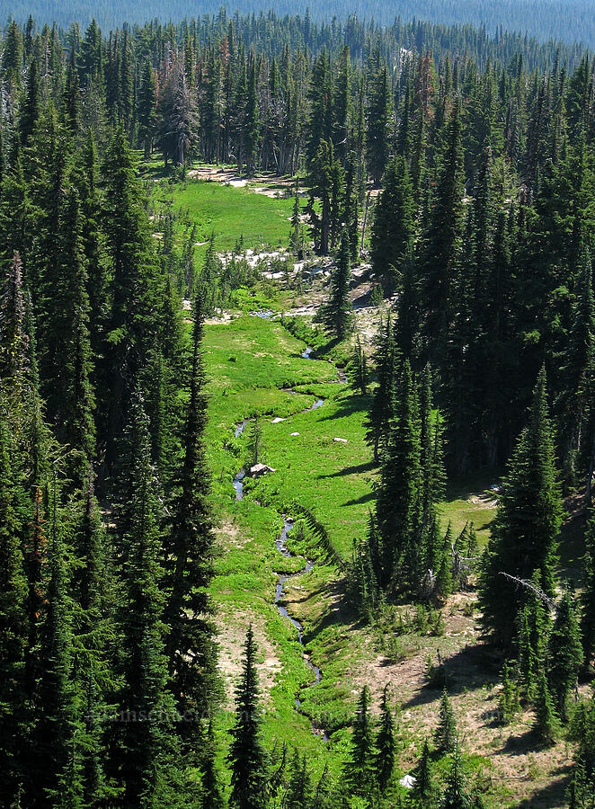 a meandering stream from above [Bird Creek Meadows, Yakama Reservation, Yakima County, Washington]