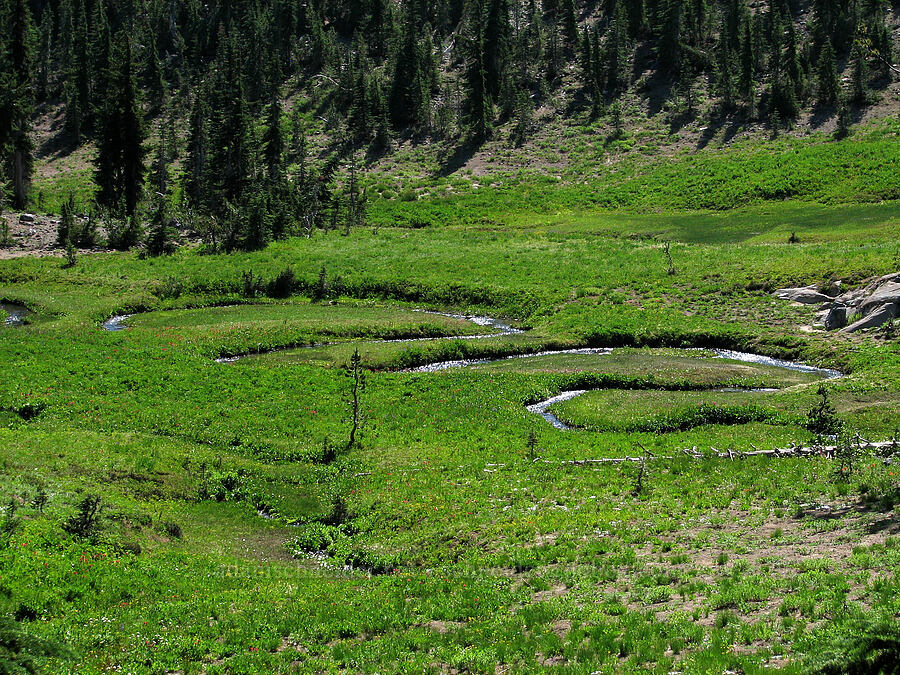 Crooked Creek [Round-the-Mountain Trail, Yakama Reservation, Yakima County, Washington]