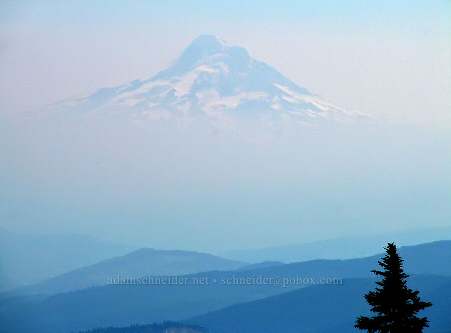 Mount Hood [Round-the-Mountain Trail, Mt. Adams Wilderness, Yakima County, Washington]