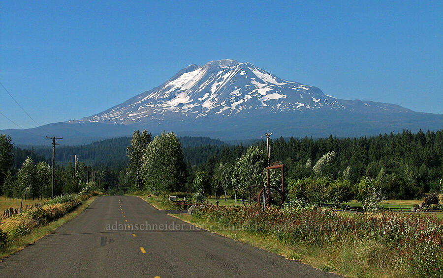 Mount Adams [Mt. Adams Road, Trout Lake, Klickitat County, Washington]