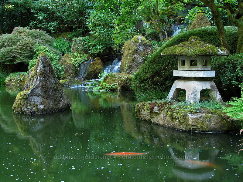pond [Portland Japanese Garden, Portland, Multnomah County, Oregon]