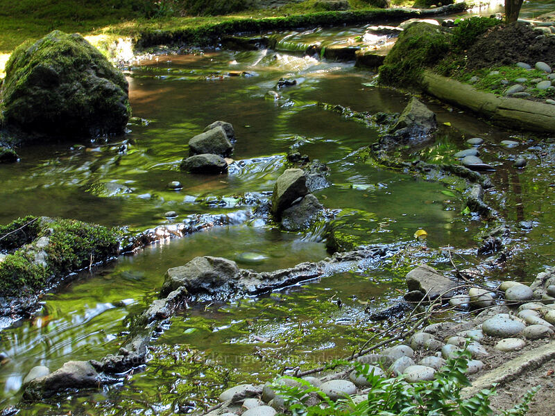 stream [Portland Japanese Garden, Portland, Multnomah County, Oregon]