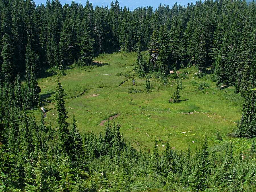 aerial view of Eden Park [Above Eden Park, Mt. Hood Wilderness, Hood River County, Oregon]
