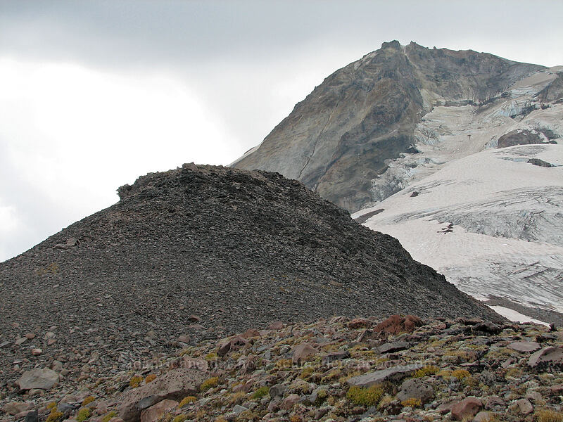 view from near the highest point of the hike [above Langille Crags, Mt. Hood Wilderness, Hood River County, Oregon]