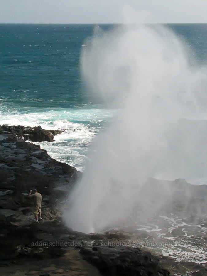 Spouting Horn [Spouting Horn Beach Park, Kukui'ula, Kaua'i, Hawaii]