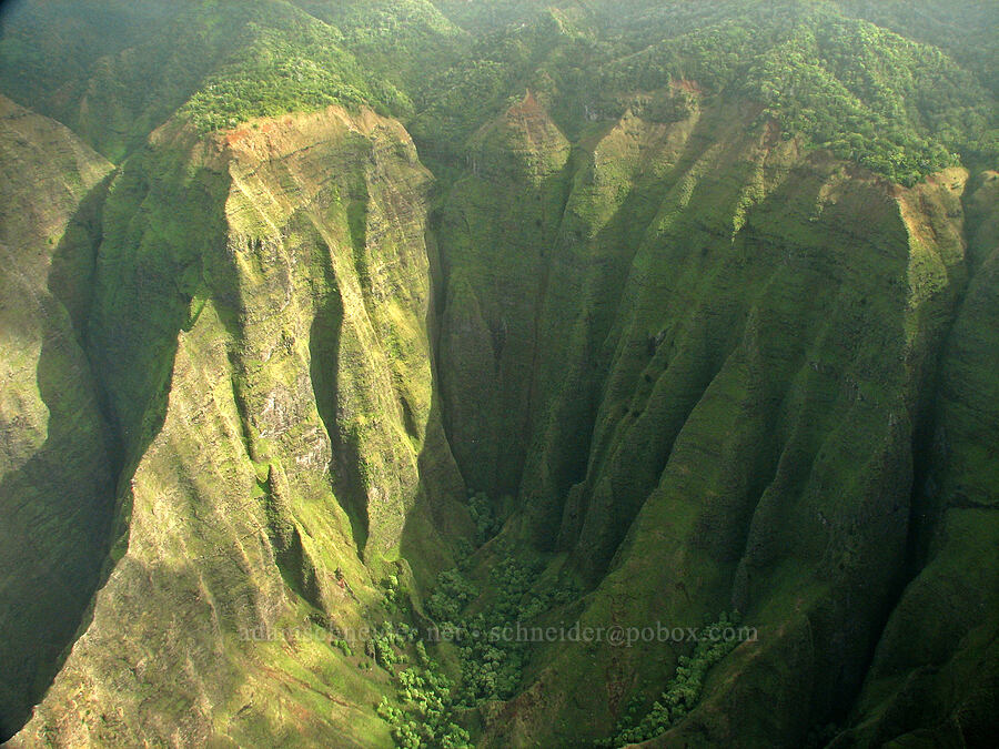 Nu'alolo Valley [airplane tour, Kaua'i, Hawaii]