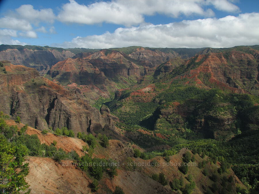 Waimea Canyon [Kukui Trail, Waimea Canyon State Park, Kaua'i, Hawaii]
