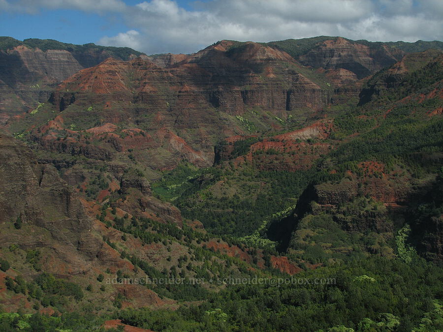 Waimea Canyon [Kukui Trail, Waimea Canyon State Park, Kaua'i, Hawaii]