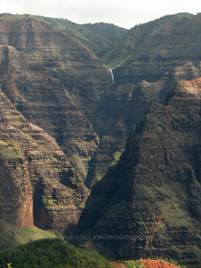 Wai'alae Falls [Kukui Trail, Waimea Canyon State Park, Kaua'i, Hawaii]