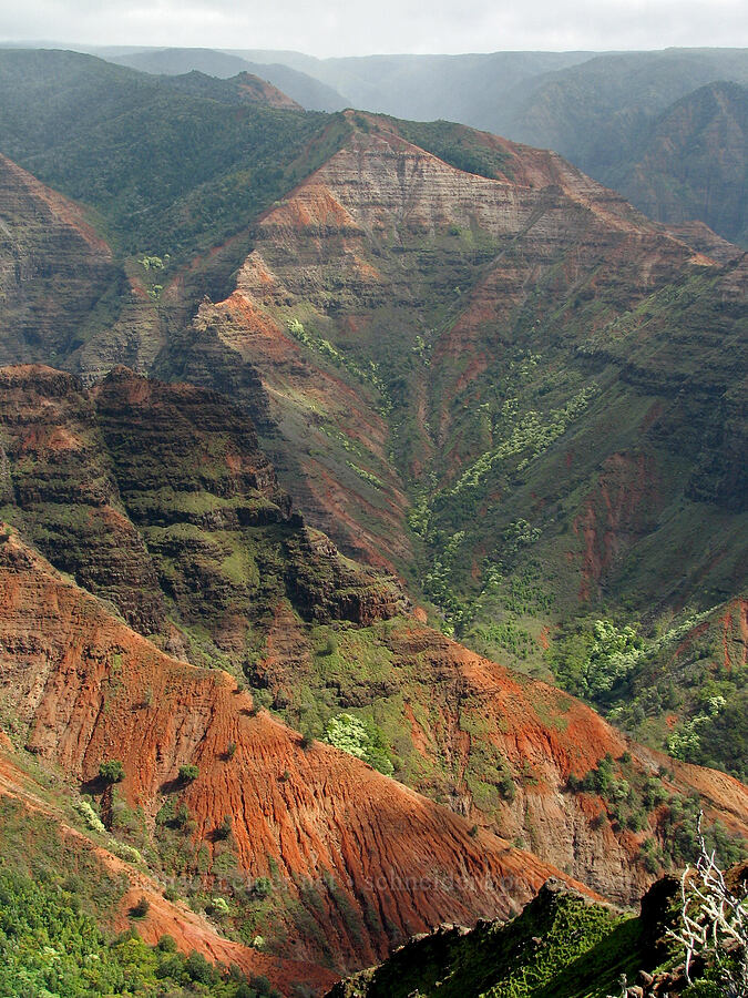 Waimea Canyon [Highway 550, Waimea Canyon State Park, Kaua'i, Hawaii]