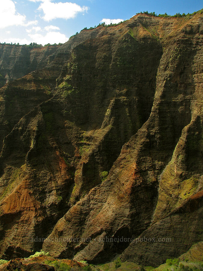 Waimea Canyon [Canyon Trail, Koke'e State Park, Kaua'i, Hawaii]